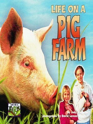 cover image of Life on a Pig Farm